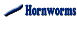 Hornworms