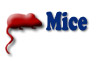 Order Mice