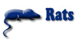 Order Rats