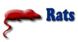 Order Rats